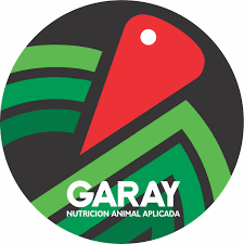 Garay